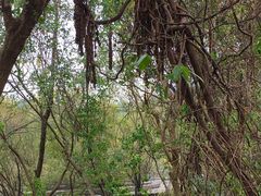 -西湖风景区-江洋畈生态公园