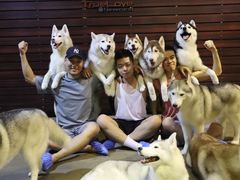 -TrueLove @ Neverland (Husky Cafe)