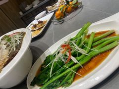 时令蔬菜-神洲四海大酒楼(王府井澳门中心店)