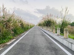 -芒洲湿地公园