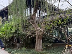 -柳莺湖上·湖景餐厅·江南菜(西湖店)