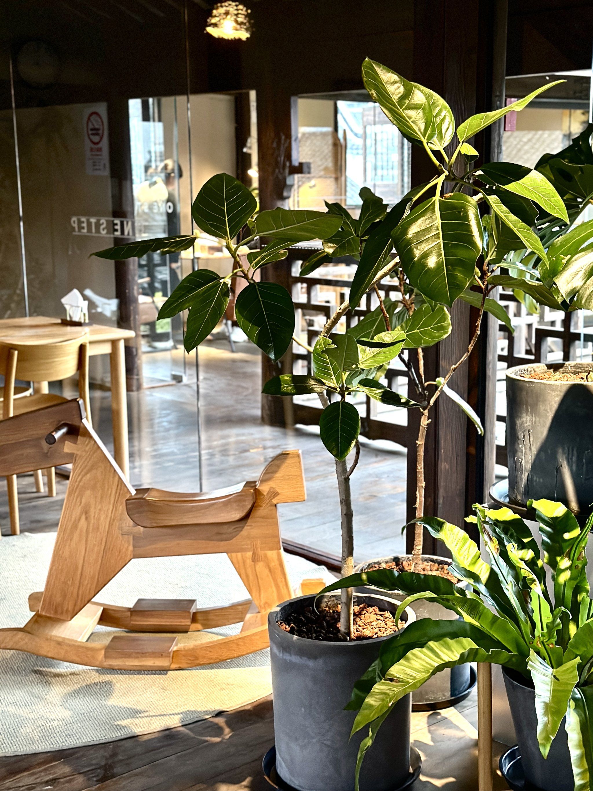 安静的角落,也有光