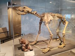 -北京周口店北京人遗址博物馆