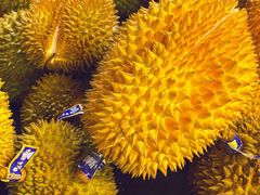 -永辉超市(嘉定宝龙广场店)