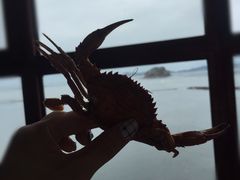 -兴旺渔家