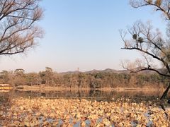 -磬锤峰森林公园