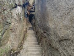 -鲁山国家森林公园