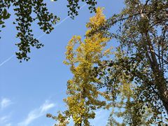 -汉长安城未央宫国家考古遗址公园