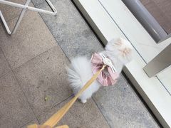 -法桐蛋糕·手作面包(万象城店)