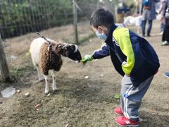 -前小桔亲子创意农场·草莓采摘·露营烧烤