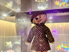 -济州岛泰迪熊博物馆