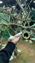 -Zoolung Zoolung动物主题公园(海信广场店)