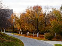 -长春世界雕塑园冰雪艺术天地
