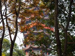 -塔子山公园