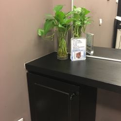 -史云逊养发护发