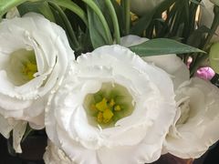 -雪蔓之鲜花气球派对(家佳源时代中心店)