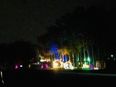 -枫花园汽车电影院(朝阳公园店)