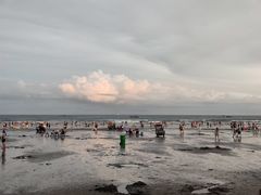 -江山半岛白浪滩景区