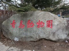 -青岛动物园