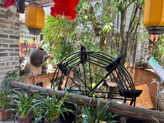 -园林美食城·本土农家菜(杨和镇店)