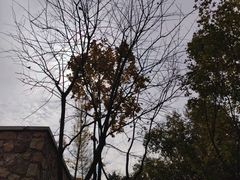 -九如山休闲旅游度假区