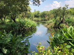 -西溪国家湿地公园