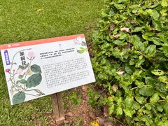 -中国科学院西双版纳热带植物园