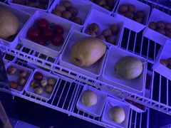 -青岛鑫江温德姆酒店