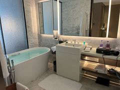 -深圳国际会展中心希尔顿酒店(前海华发冰雪世界店)
