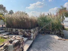 -上海山野camping·户外天幕烧烤·团建拓展营地