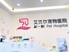 -艾贝尔宠物医院 ·中兽医·宠保定点(北门桥店)