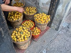 -葑门横街
