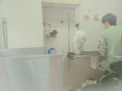 -全心全意连锁动物医院·微创中心·内科急重症·心脏专科(丰管路店)