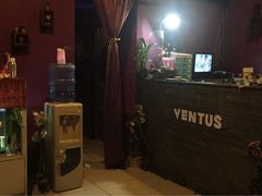 -ventus spa 沙巴亚庇正宗精油按摩会说