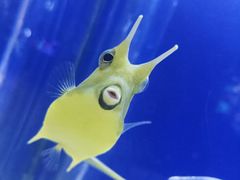 -大连圣亚海洋世界