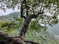 -蝶舞清江·恩施地心谷景区