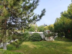 -大槐树寻根祭祖园