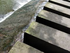 -桤木河湿地公园