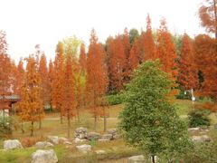 -白鹭湾湿地公园