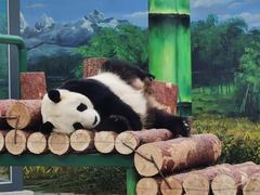 -天津市动物园