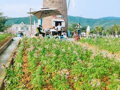 -玫瑰海岸文化旅游度假区