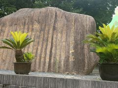 -陈家山荷花公园