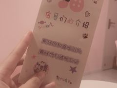 -三花喵·撸猫购宠·宠物生活馆(虹桥南丰城店)