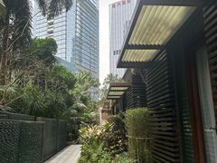 -深圳星河丽思卡尔顿酒店