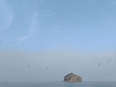 -棒棰岛宾馆景区