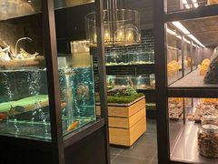 面包甜点陈列柜-荣轩(新荣记环球金融中心店)