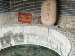 -福顺祥大盘鸡(临潼店)