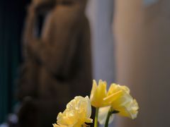 -喜洲吧·江畔老船厂·庭院餐厅(喜临院店)
