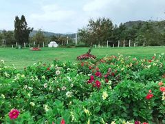 -名花谷生态庄园