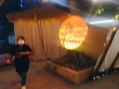 -大汗烧烤滩羊馆(清水河公园店)